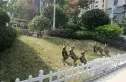 碧桂园正荣·庐陵府实景图