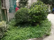 精装修可拎包入住,近地铁,业主诚售价格可谈,楼层好