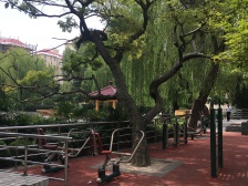 好好好好好好,真好。户型位置价格都好