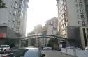 旭景琴园实景图