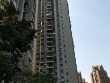 必卖!全新精装三室,价格美丽,拎包入住