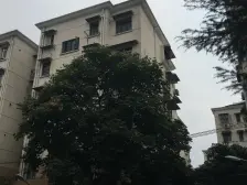 瑞冬小区 2室1厅 南