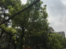 虹桥机场新村 2室1厅 南