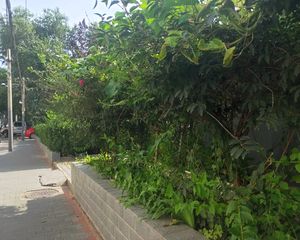 南纬路2号院2室1厅东北