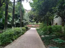 彩云湖公园旁 精装纯洋房 急售 看房方便