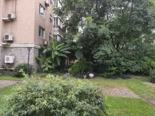 黄兴公园·佳泰花园·3室·1厅