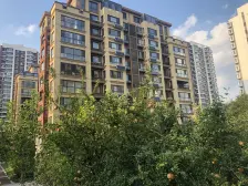 凤凰路软件园旁联排别墅南北院子