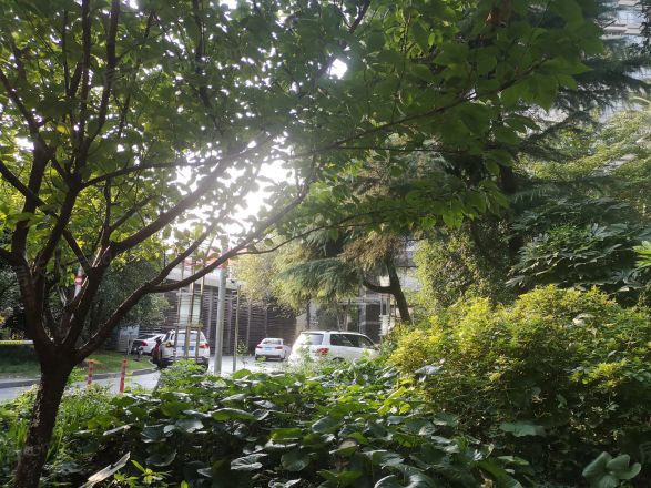 绿地海怡公寓实景图
