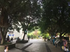 新桥医院旁住家装修一室一厅 业主急售顶楼 随时看房