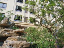 ??????自贸区新片区花园别墅+带大阁楼????