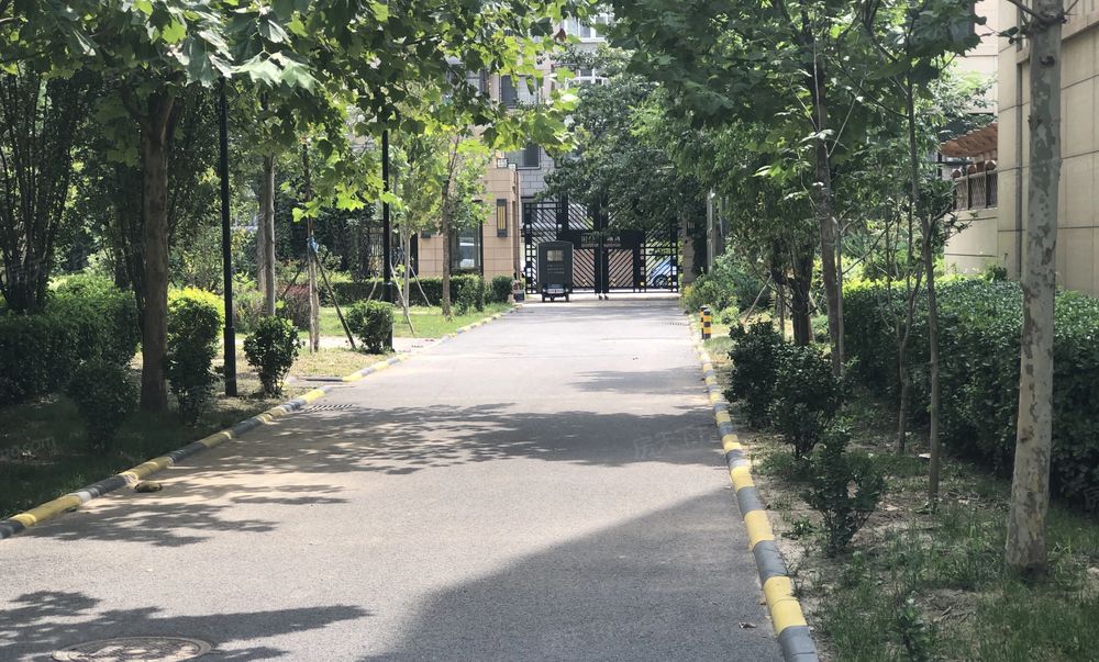 中介费一个点梧桐公馆电梯洋房一梯两户采光好