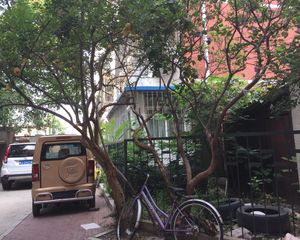 安德路47号院3室1厅南北