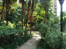 视野开阔,光照充足,居家安静适宜老人小孩居住