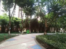 南坪 阳光南滨三房84万