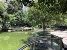 珠江华轩,采光好,清水房,顶跃带大露台