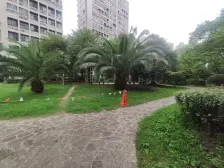 近地铁 电梯房 精装,无抵押,必看好房