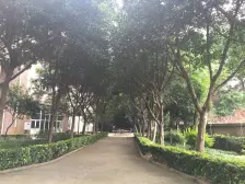 凤天路 上佳双子鑫座二房