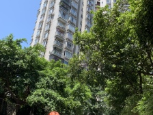 石桥铺双轻轨 精装一室 户型方正 家电家具齐全