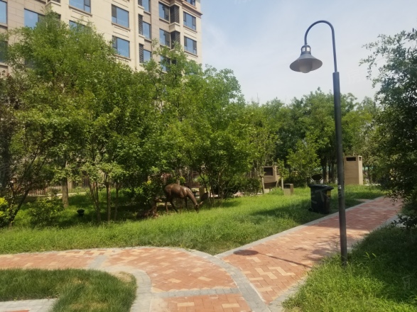合景御华园实景图