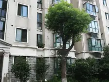 南北通,电梯高层,23号线地铁口,拎包入住