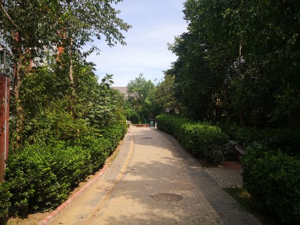 第六田园优仕庭园实景图