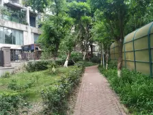 彩云湖公园里洋房 三房双卫带123平米私家屋顶花园