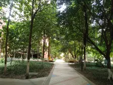 房子正规大二房.离南滨路近.有小区环境