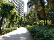 南滨印象3室2厅2卫南北朝向100.00万元/套出售