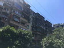 双林中横路14号3室1厅西南东北