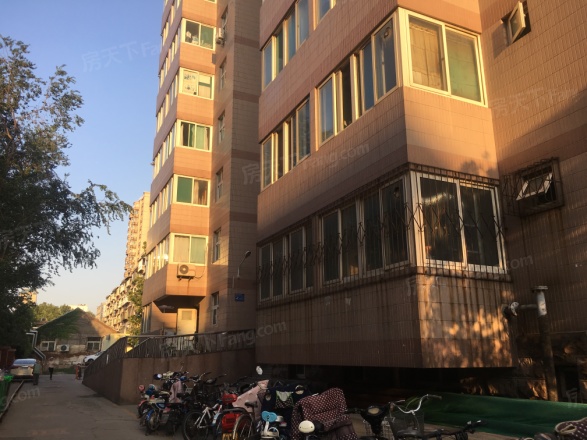 山师教职工二宿舍实景图