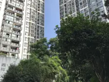 加州新牌坊 鼎祥风华美锦三房85万