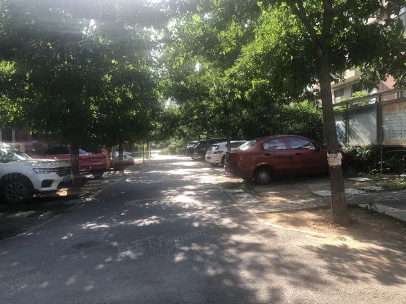 风格与林苑实景图