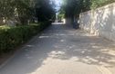 风格与林苑实景图