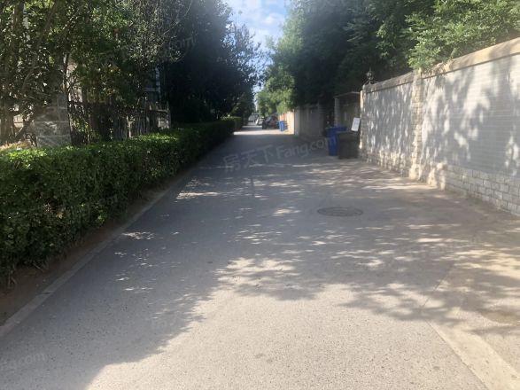 风格与林苑实景图