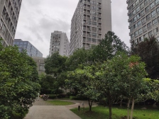 店总力荐 新上花园景观三房 精装修 有车位 诚意卖