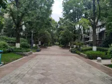 带车位花园洋房,顶跃带双露台,端头户型,采光无死角