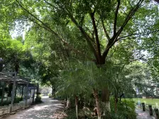 石桥铺 珠江华轩二房81万