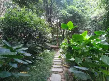 巴国城 同天绿岸二房164万