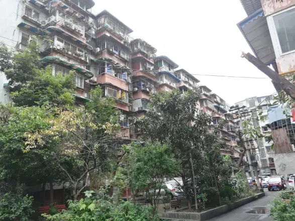 双楠乐苑实景图