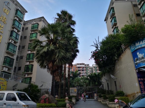 田德花园