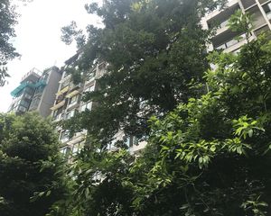 金沙愉景一期3室2厅东北
