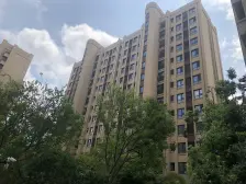 精装修 电梯房 中间楼层视野强 品质小区有保障