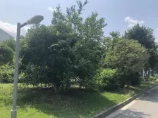 临港新片区+两轨交+采光好视野佳+税费少