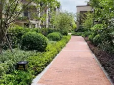 泥城镇·碧桂园浦东星作·2室·1厅