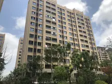 临港!次新!人车分流简装带大大大花园! 尚师da