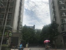 金沙愉景一期3室1厅北