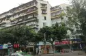 双楠乐苑实景图