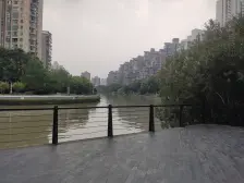 光复新苑2室南朝向618.00万元/套出售