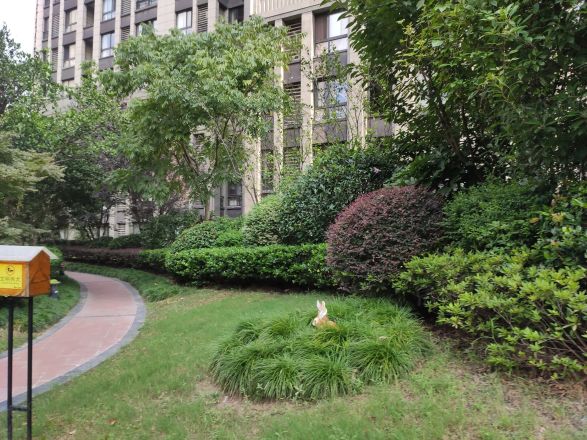 保利香槟花园实景图