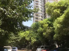 户型方正 楼下地铁口 拎包入住 单位集资房 得房率高